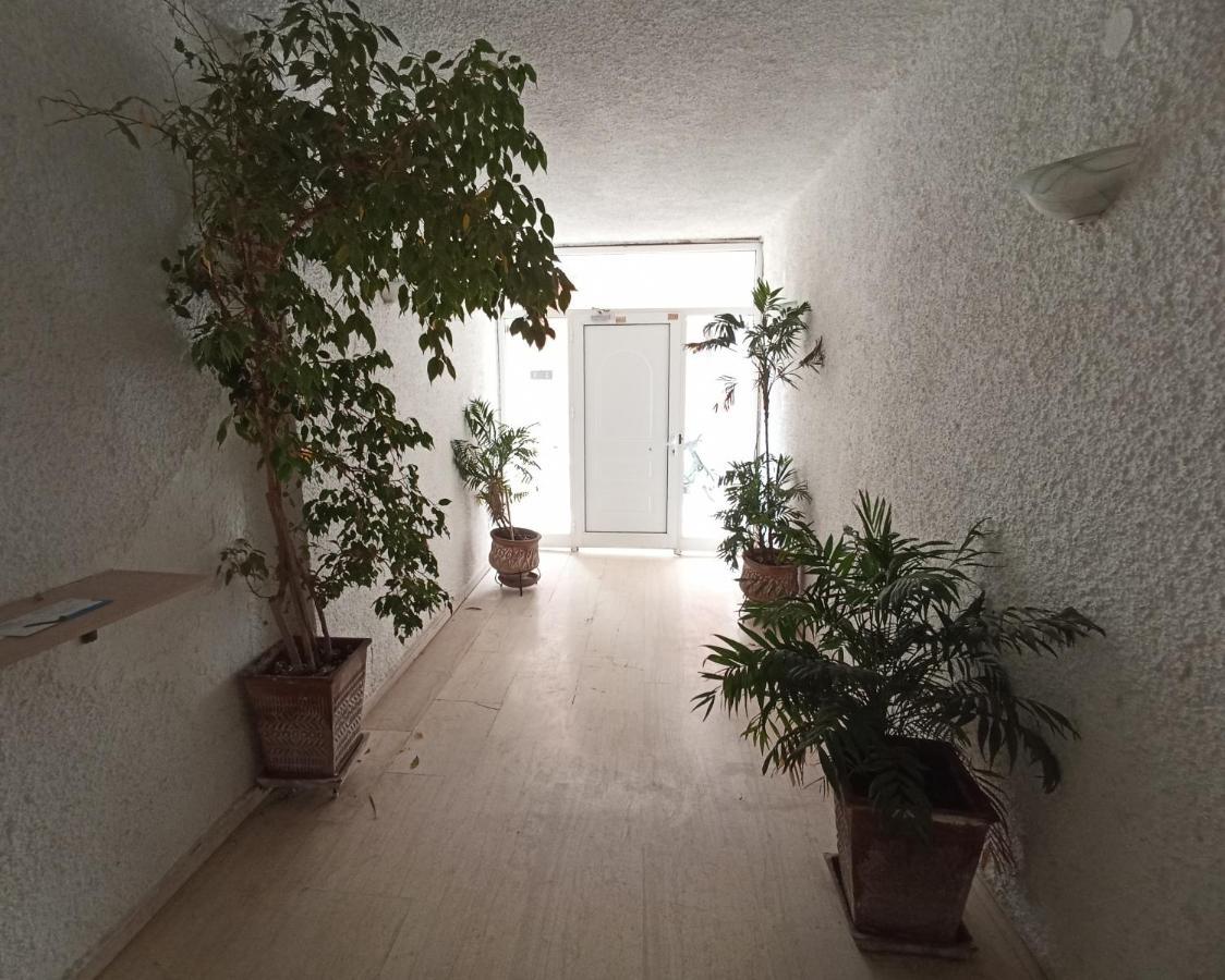 Tiny Central Penthouse, Big Terrace 칼라마타 외부 사진